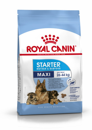 Maxi Starter Mother & Babydog